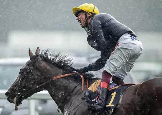 罗马尼亚女足队员因伤遗憾退出,表现亮眼 罗马尼亚女足队员因伤遗憾退出,表现亮眼