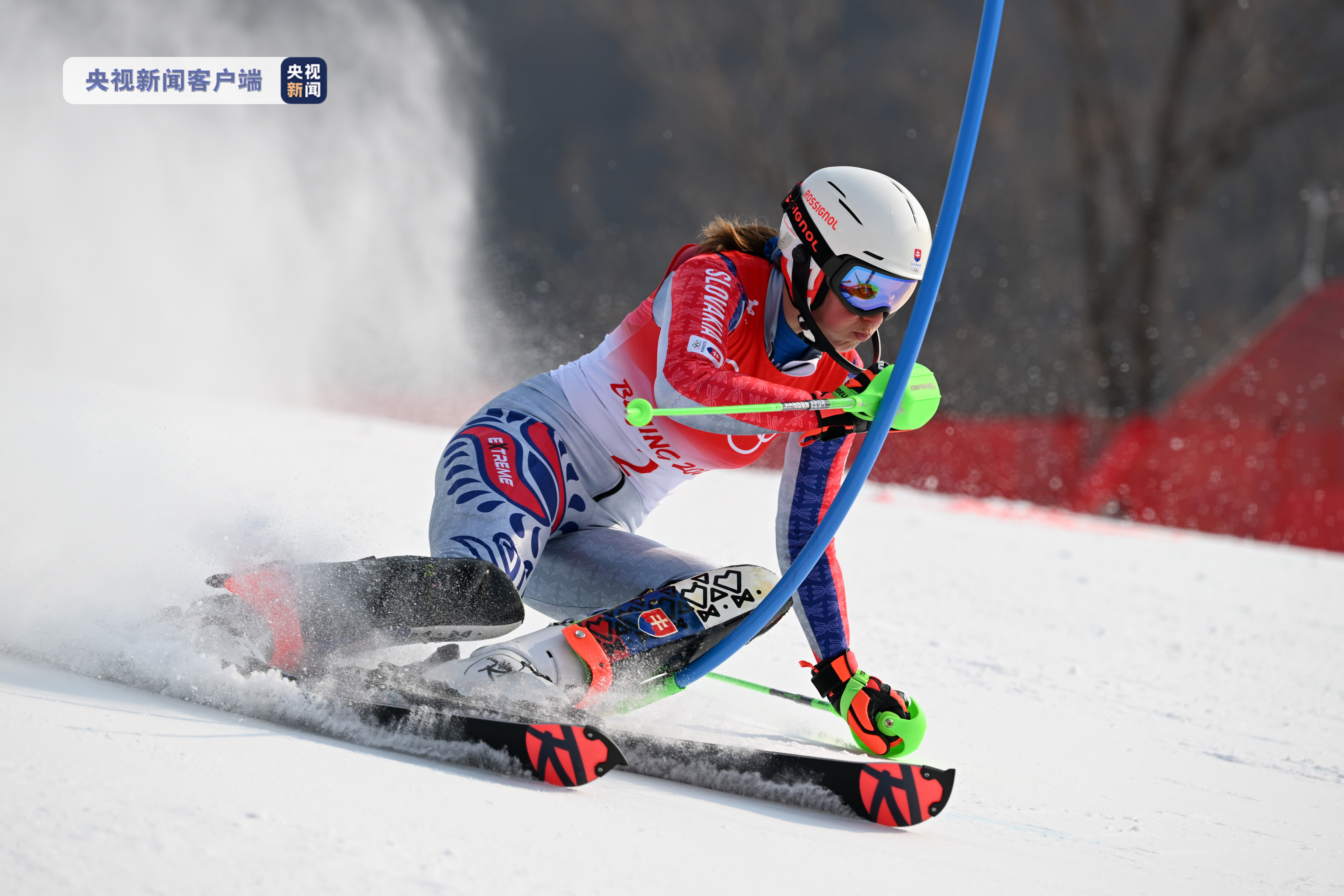 关于挪威女子滑雪选手摘金创纪录,稳步上升的信息 关于挪威女子滑雪选手摘金创纪录,稳步上升的信息