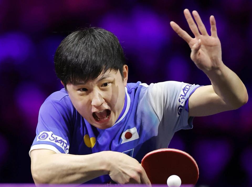德国队轻取韩国队，张本智和刷新纪录